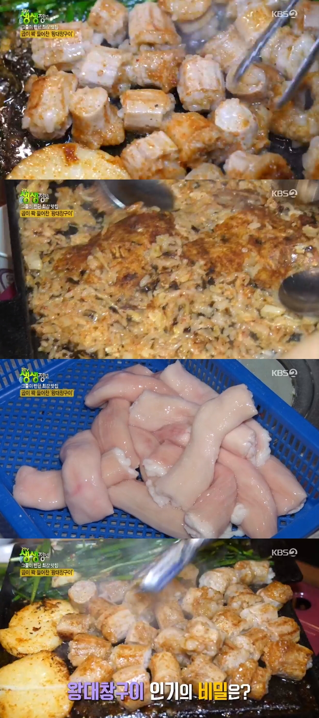 2TV �������� �մ�â����