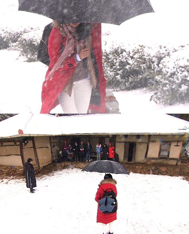 ��Ÿ�� û��