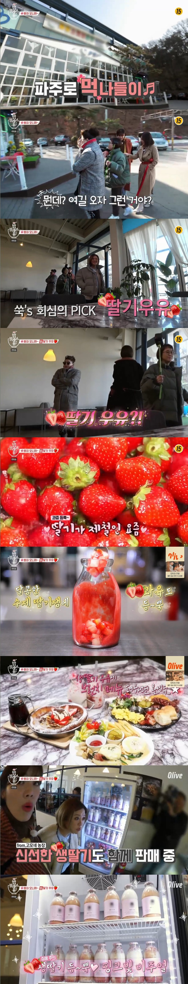 Ƽ���̵��ϸ� ����