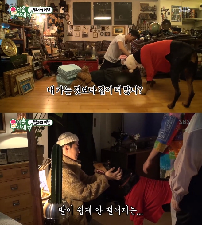 ̿ 츮 , 