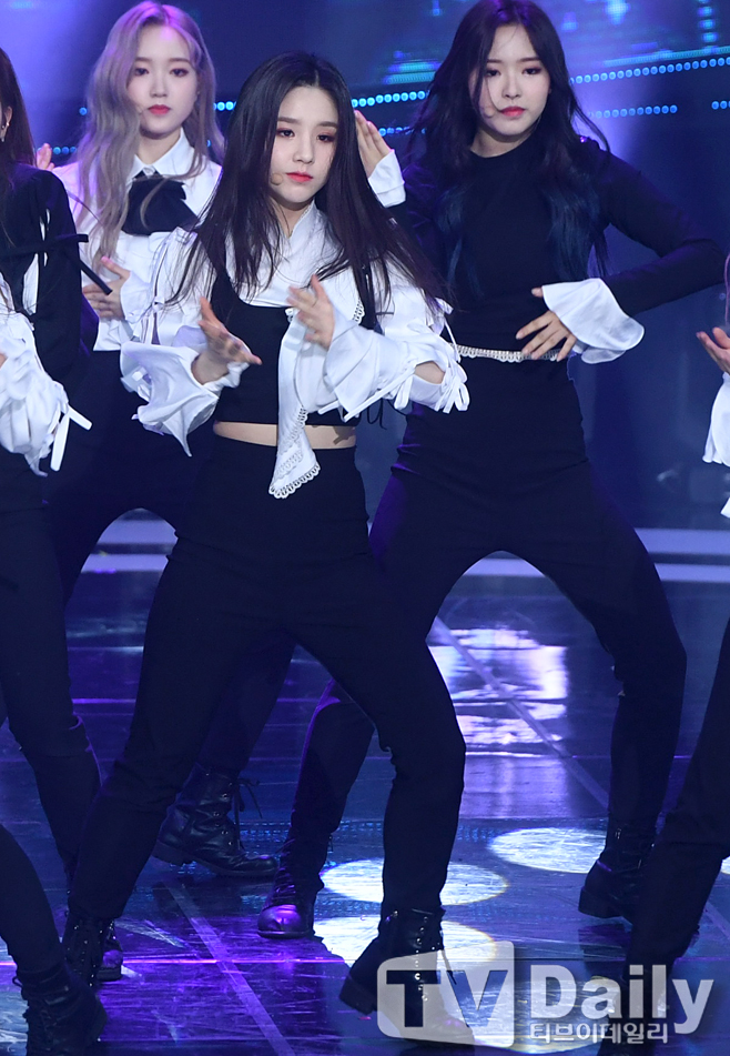 ƼºêÀ̵¥Àϸ® Æ÷Åä