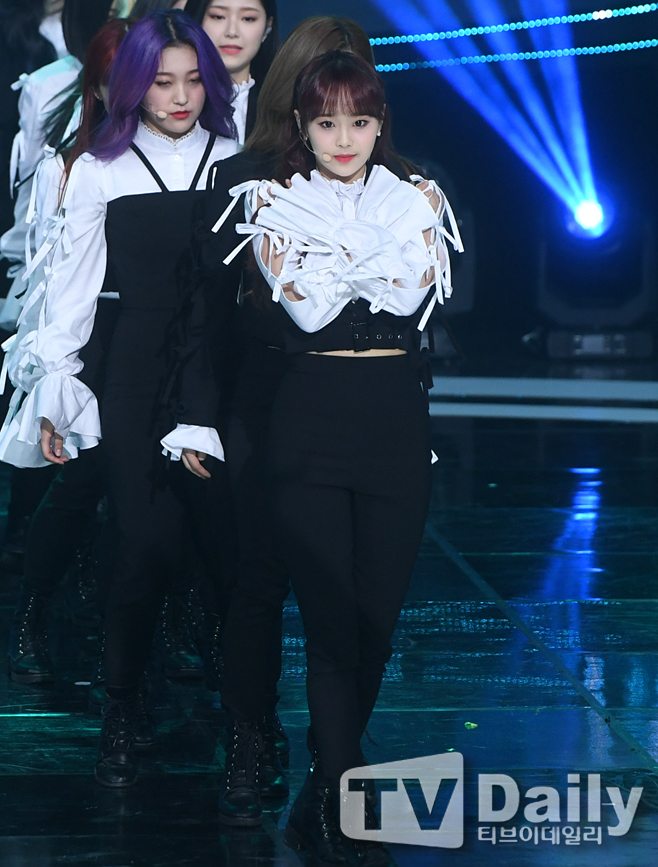 ƼºêÀ̵¥Àϸ® Æ÷Åä