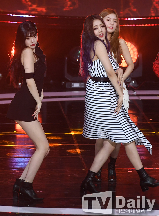 ƼºêÀ̵¥Àϸ® Æ÷Åä