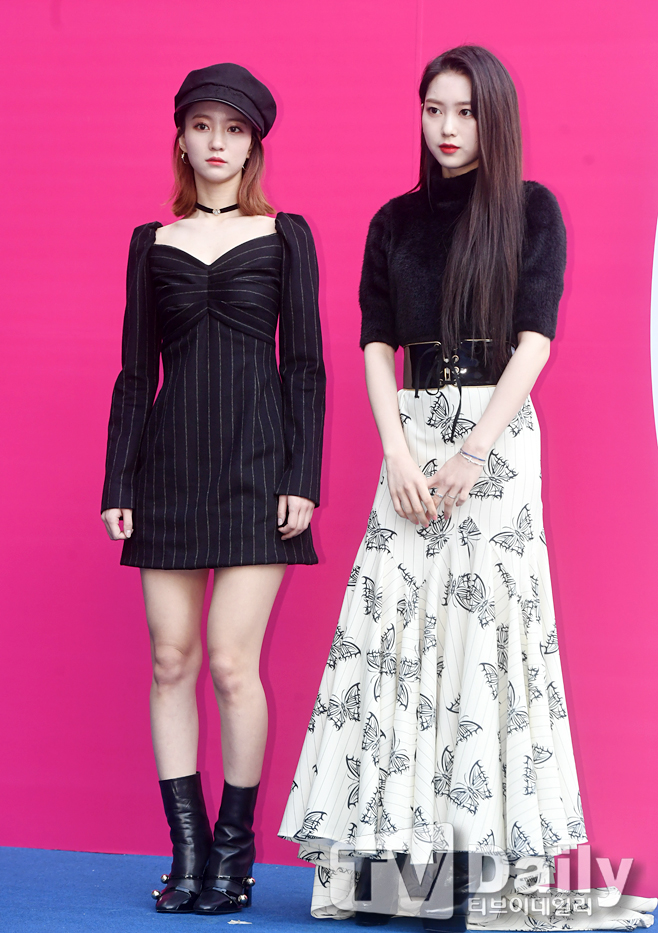 ƼºêÀ̵¥Àϸ® Æ÷Åä