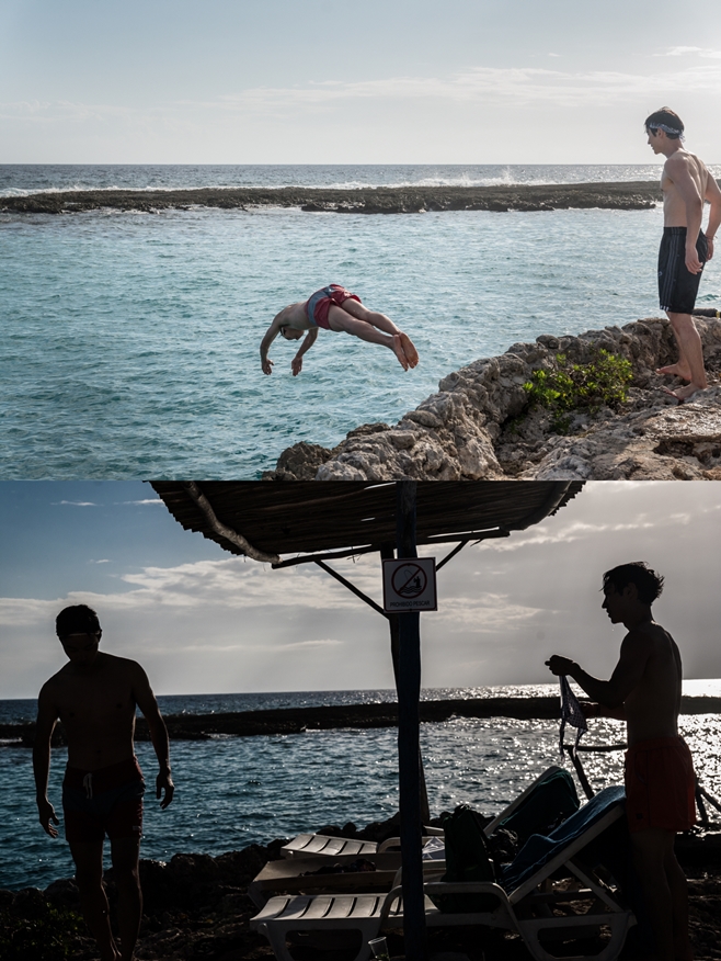 Ʈ������