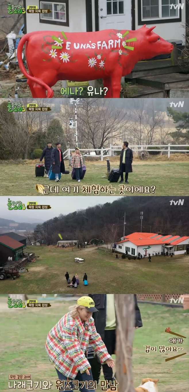 Ǯ ���Դ� �Ҹ�3