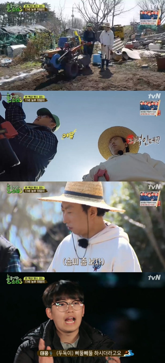 Ƽ���̵��ϸ� ����