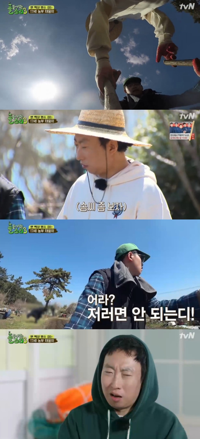 Ǯ ���Դ� �Ҹ�3