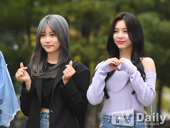 ƼºêÀ̵¥Àϸ® Æ÷Åä