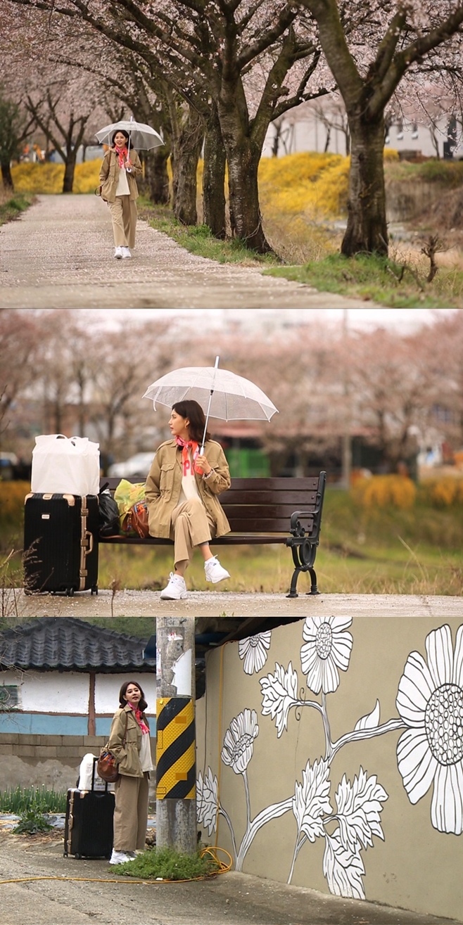 ��Ÿ�� û�� ������