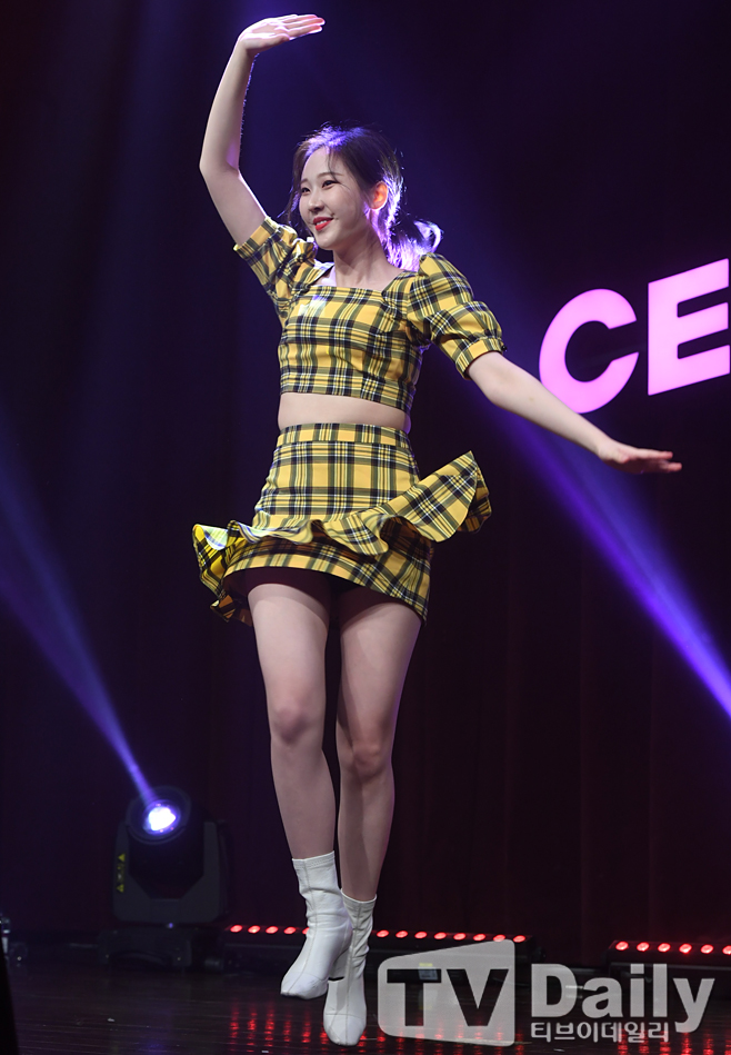 ƼºêÀ̵¥Àϸ® Æ÷Åä