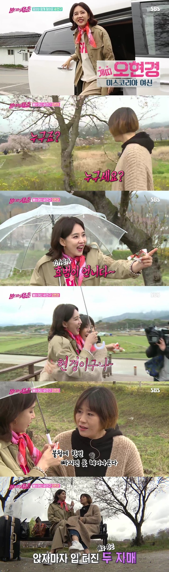 ��Ÿ�� û��