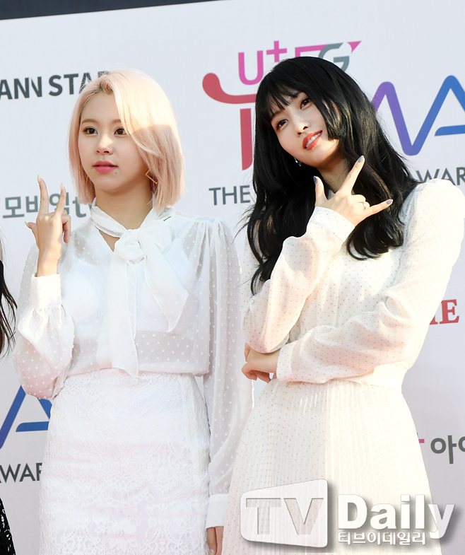 ƼºêÀ̵¥Àϸ® Æ÷Åä