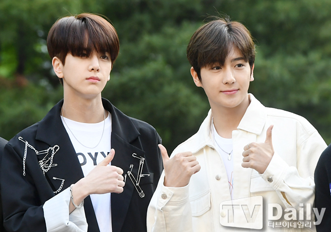 ƼºêÀ̵¥Àϸ® Æ÷Åä