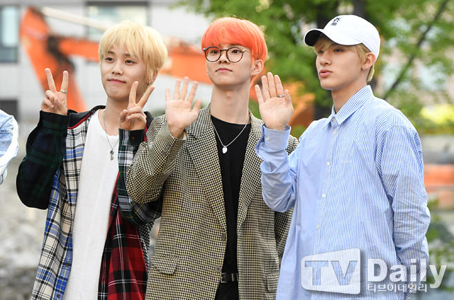 ƼºêÀ̵¥Àϸ® Æ÷Åä