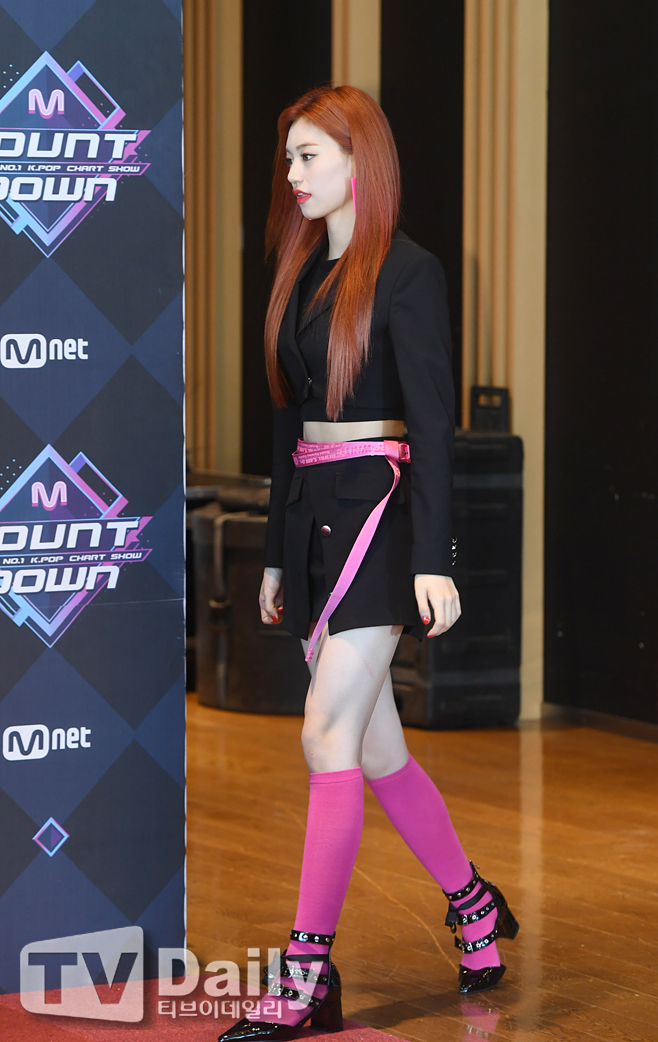 ƼºêÀ̵¥Àϸ® Æ÷Åä