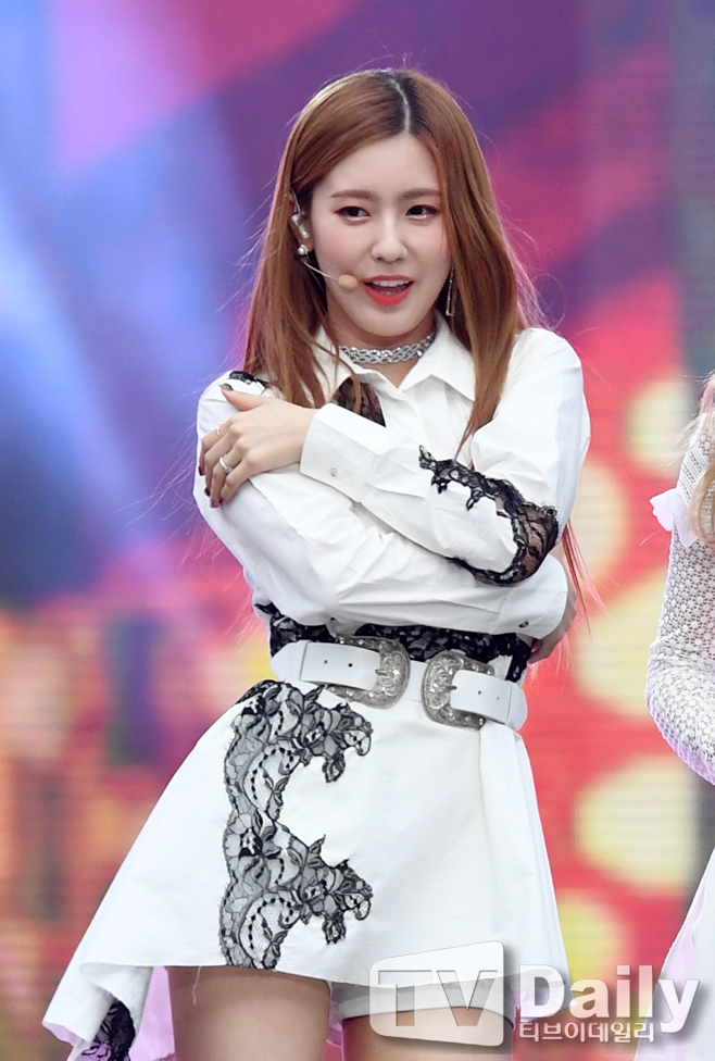 ƼºêÀ̵¥Àϸ® Æ÷Åä