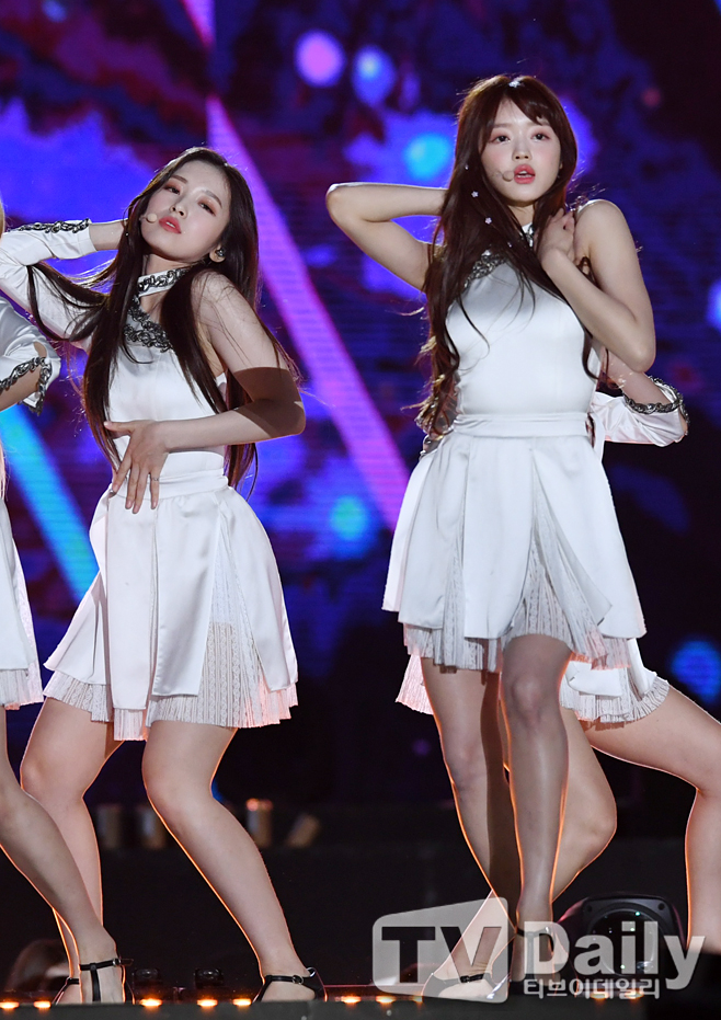 ƼºêÀ̵¥Àϸ® Æ÷Åä