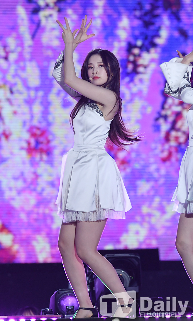 ƼºêÀ̵¥Àϸ® Æ÷Åä