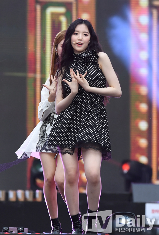 ƼºêÀ̵¥Àϸ® Æ÷Åä