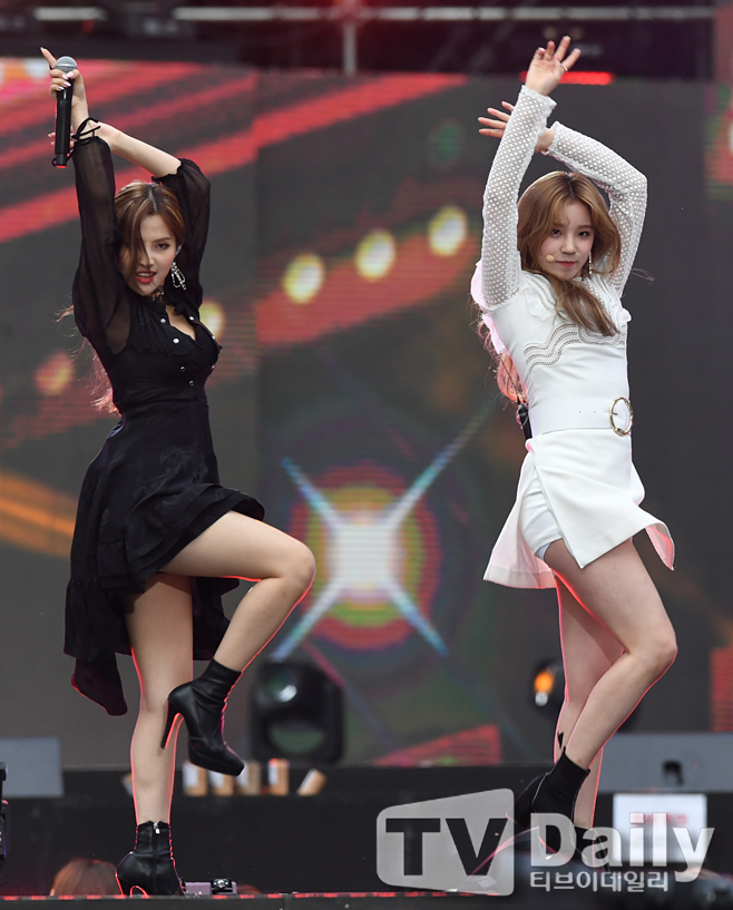 ƼºêÀ̵¥Àϸ® Æ÷Åä