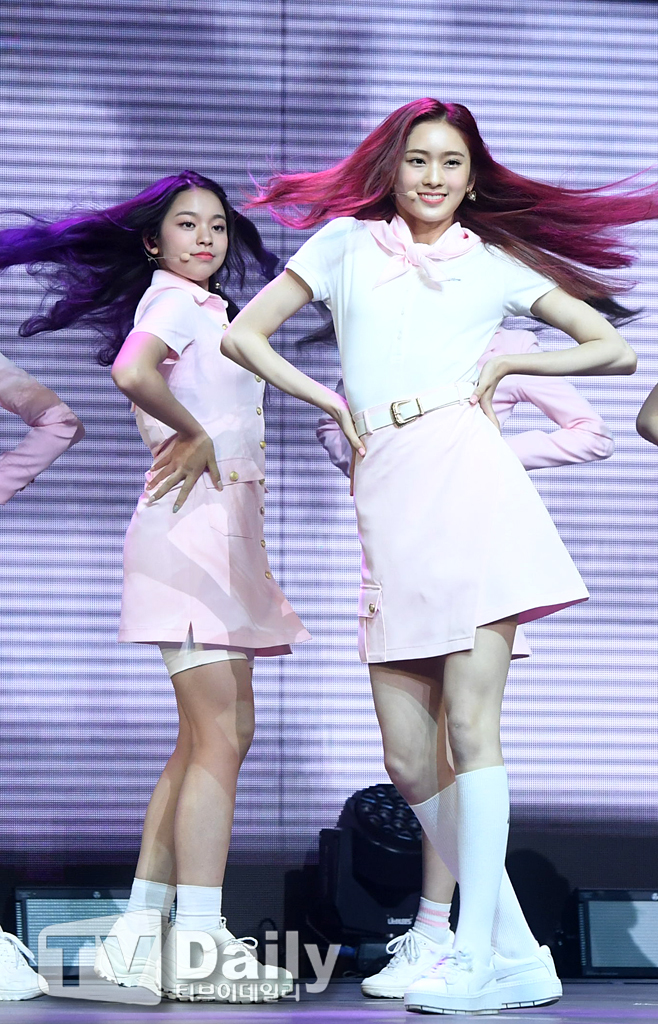 ƼºêÀ̵¥Àϸ® Æ÷Åä