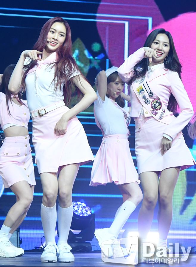 ƼºêÀ̵¥Àϸ® Æ÷Åä