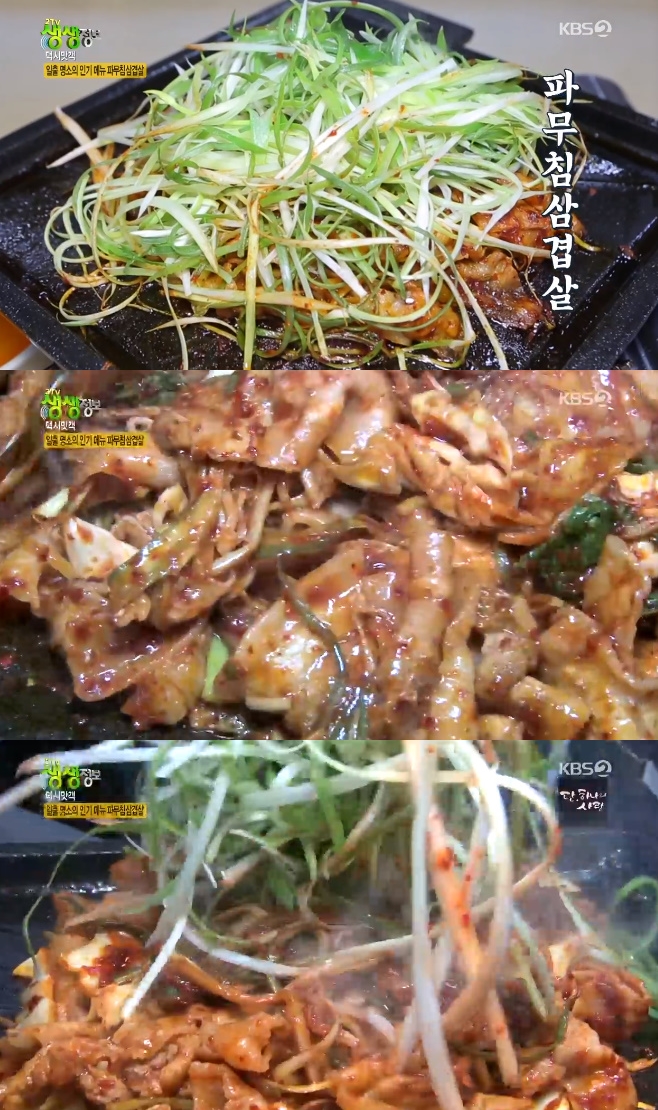 2TV »ý»ýÁ¤º¸ ÆÄ¹«Ä§»ï°ã˜²