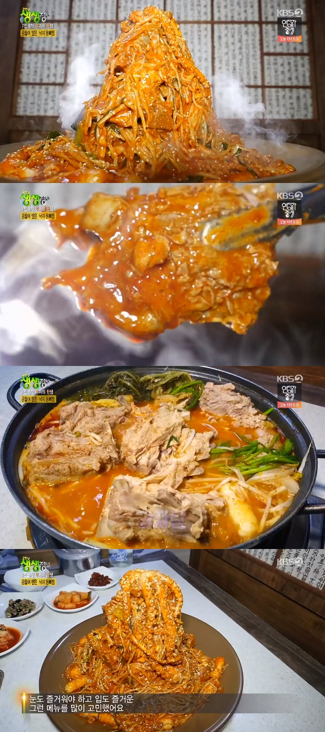 2TV »ý»ýÁ¤º¸ ³«Áö µî»ÀÂò