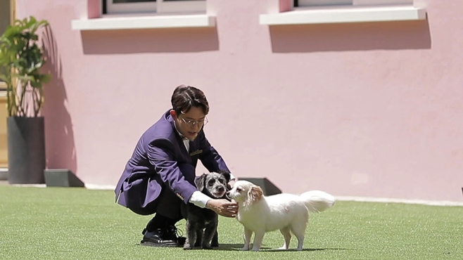 JTBC2 ׷δٰƮ - Ͼ