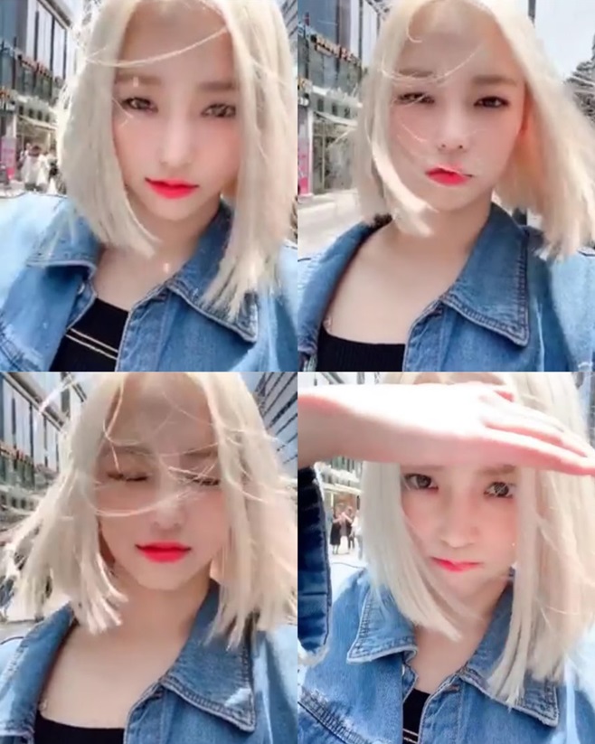  CLC 