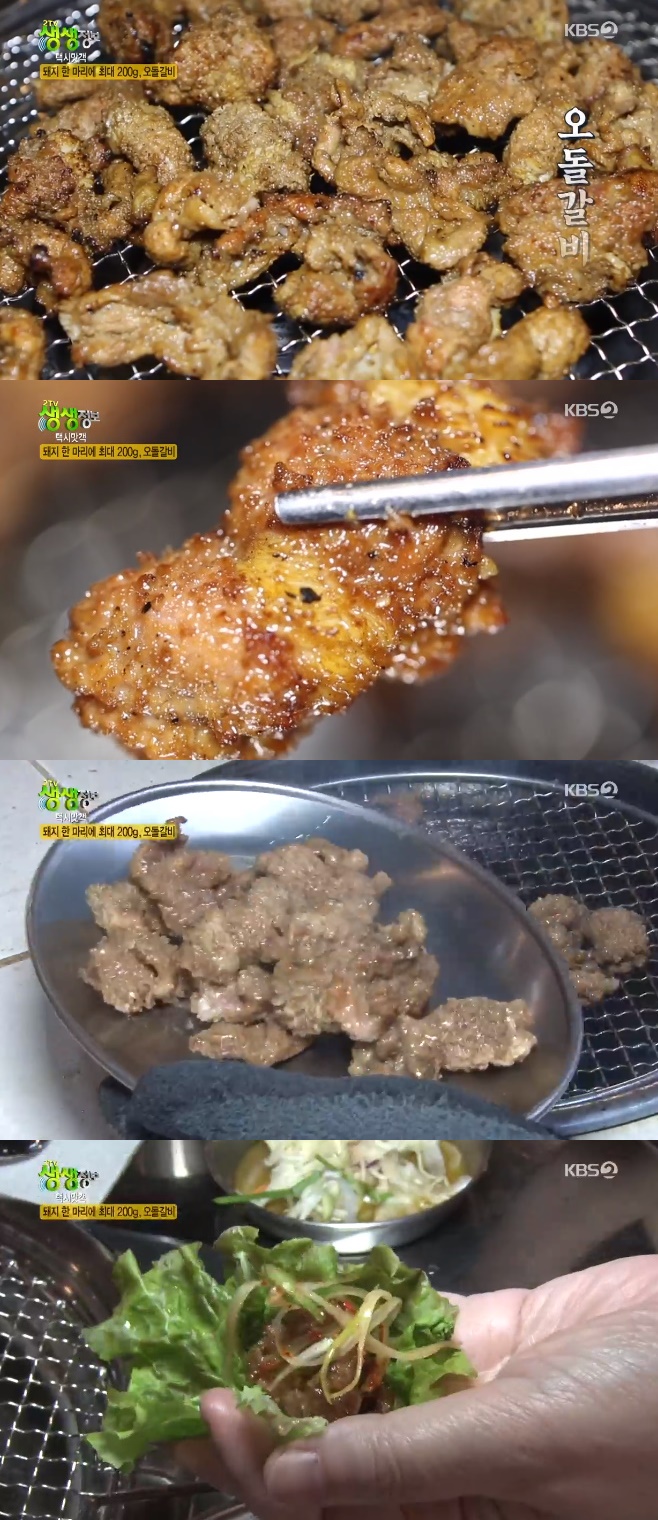 2TV �������� �ýø��� ��������