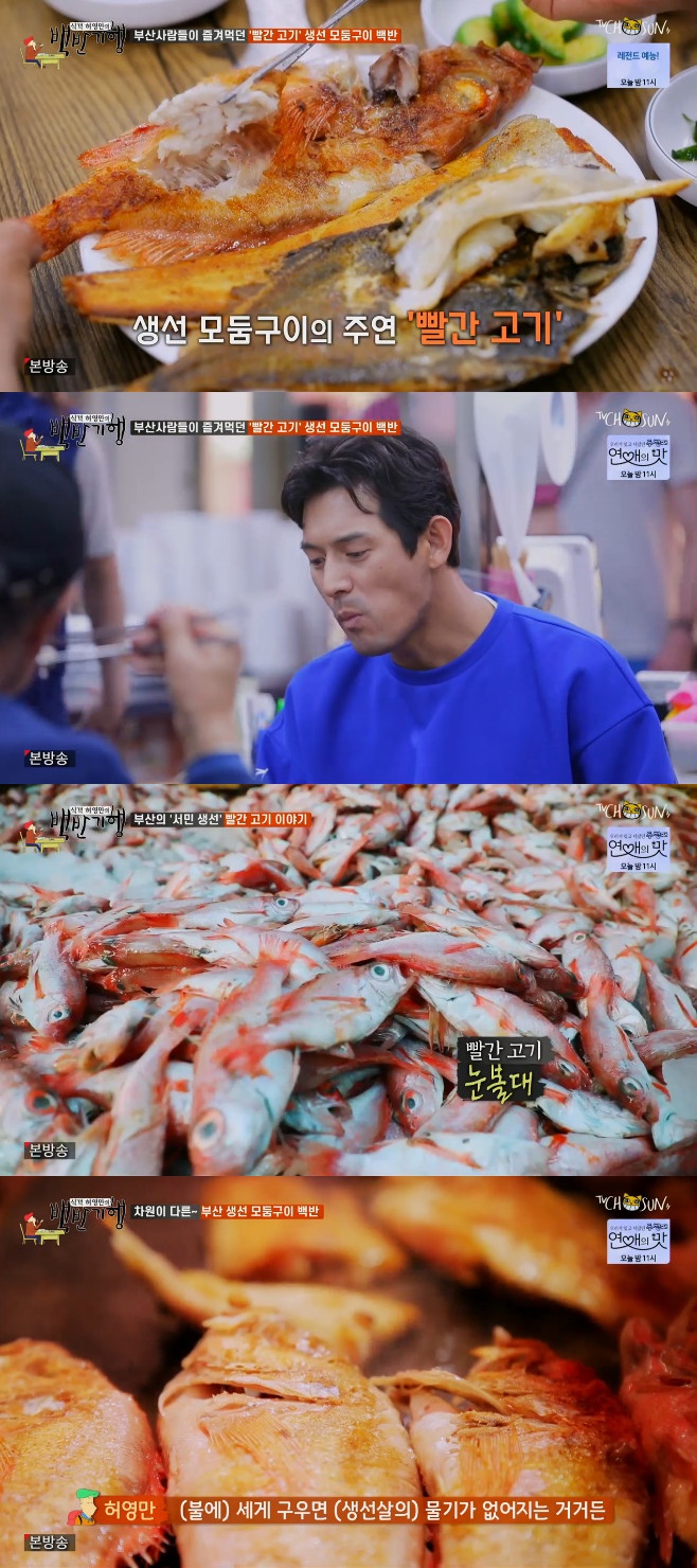 ��ݱ��� �㿵�� ����ȣ �������� �������