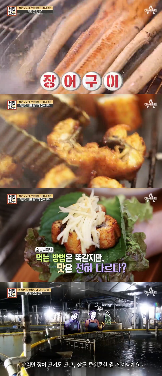 ¼¹Î°©ºÎ Àå¾î