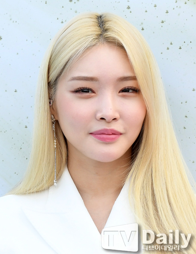 ƼºêÀ̵¥Àϸ® Æ÷Åä