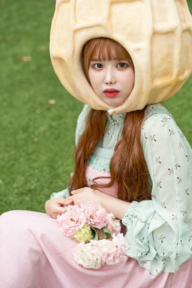 ƼºêÀ̵¥Àϸ® Æ÷Åä