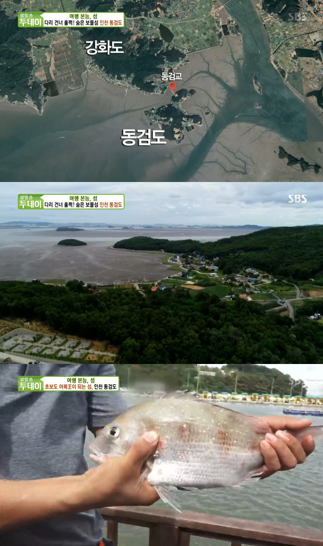 »ý¹æ¼Û Åõµ¥ÀÌ ÀÎõ µ¿°Ëµµ