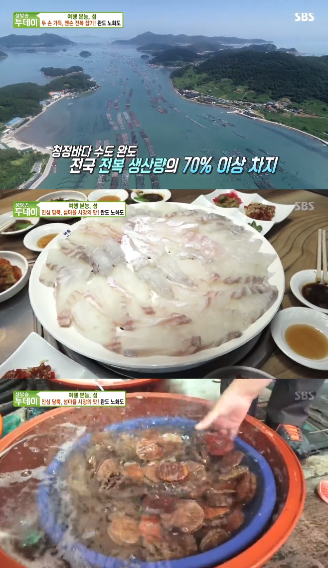 ����������� �ϵ� ��ȭ��