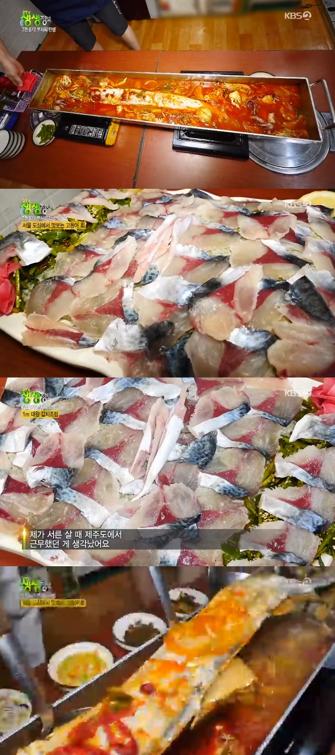 2TV �������� 1m ��� ��ġ���� �����ȸ