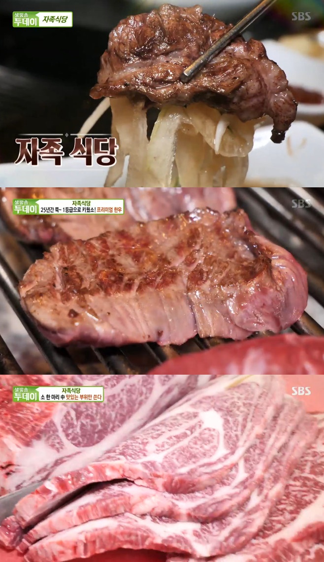 ����������� �����̾� �ѿ�