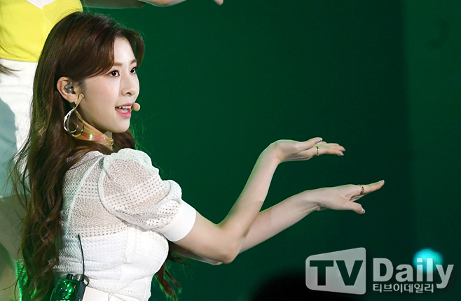 ƼºêÀ̵¥Àϸ® Æ÷Åä