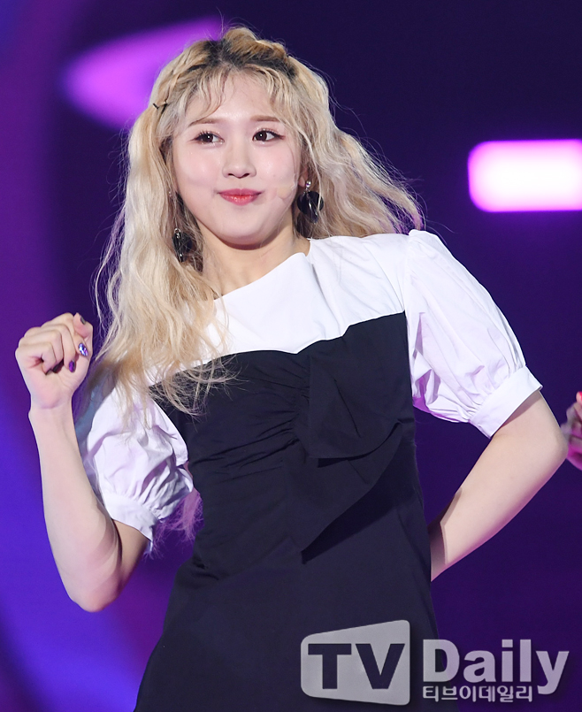 ƼºêÀ̵¥Àϸ® Æ÷Åä