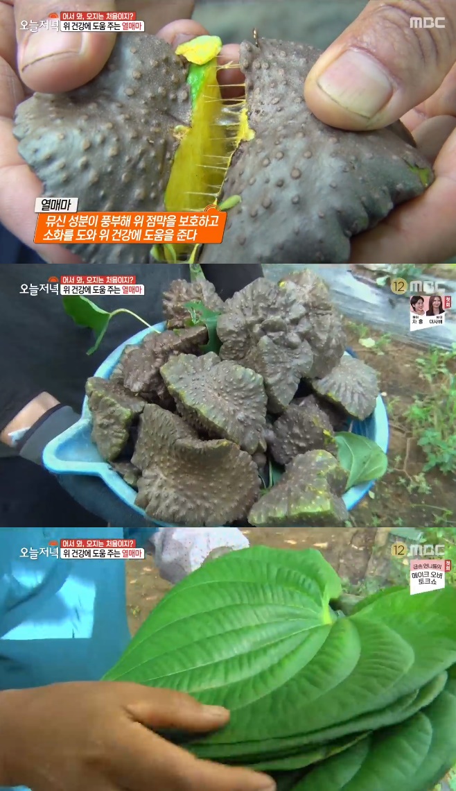 ����� �������� ���Ÿ�