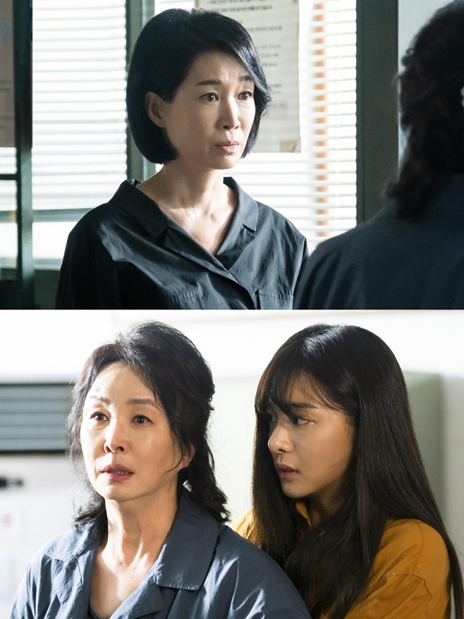 ����� ��ƼǮ �λ��� ����Ǯ