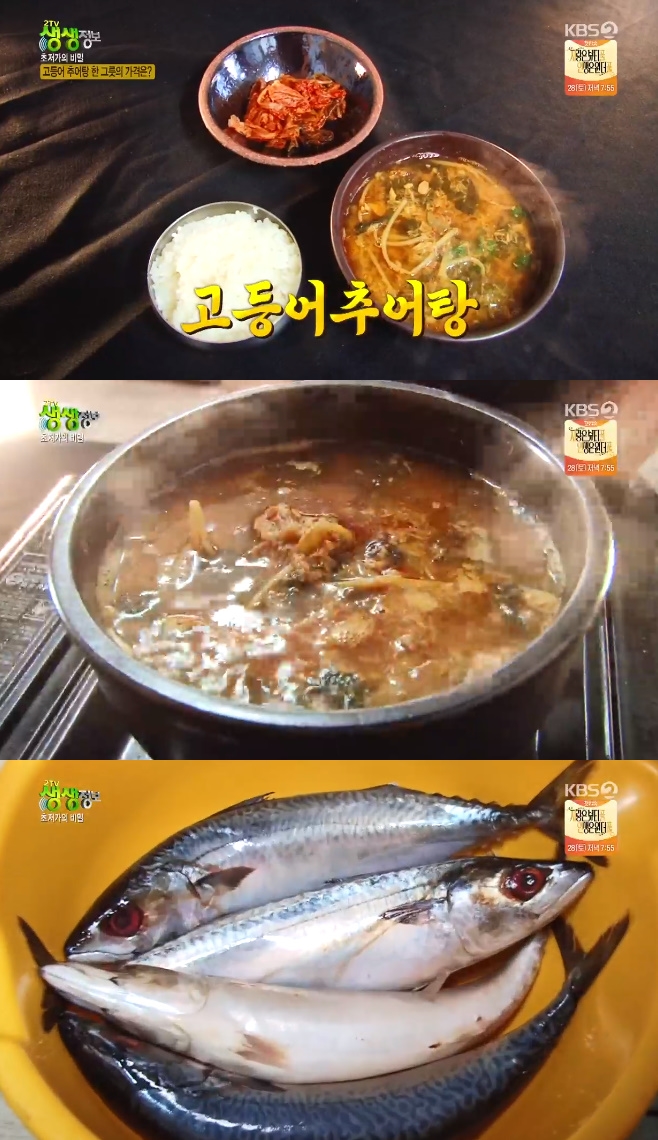 2TV �������� �������� ��� 3000�� ����� �߾��� ��������