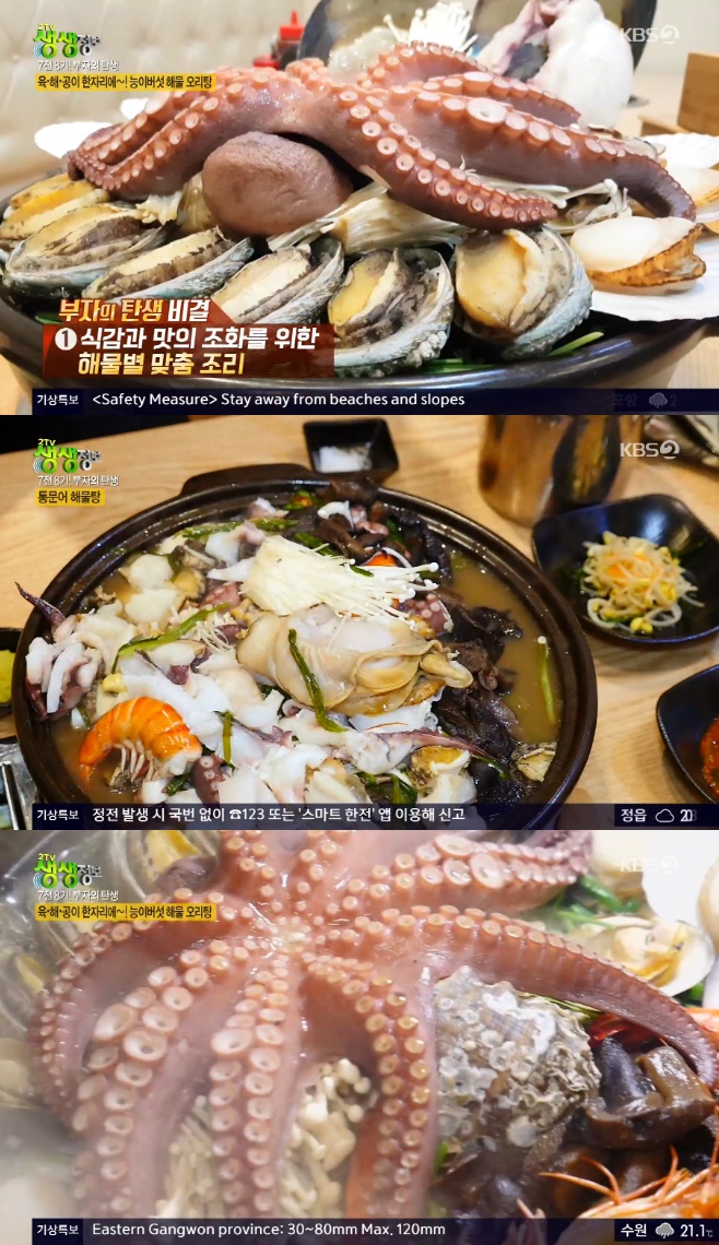 2TV�������� ���̹��� �ع� ������ ������