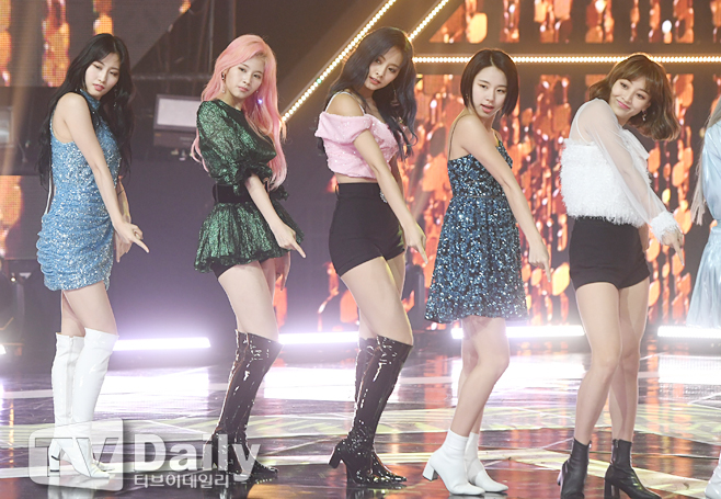 ƼºêÀ̵¥Àϸ® Æ÷Åä