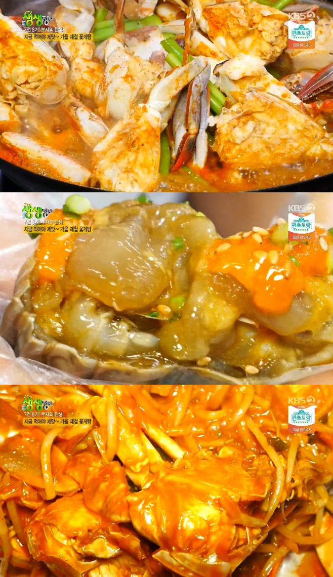 2TV �������� ������ɰ� �ſ� ��� �ɰ��� ��ö �ɰ��� �������