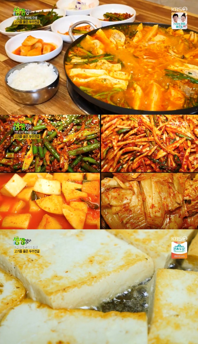 2TV �������� ���� ǰ�� �κ� ���� �ź��Ĵ�