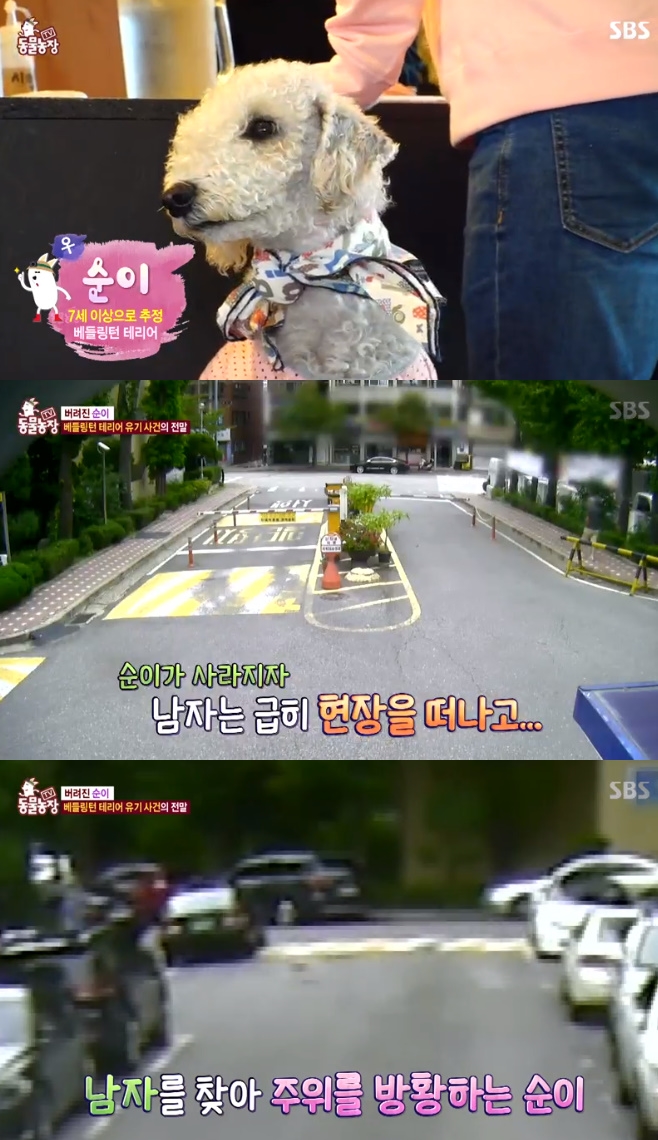 �������� �������� �׸��� ������